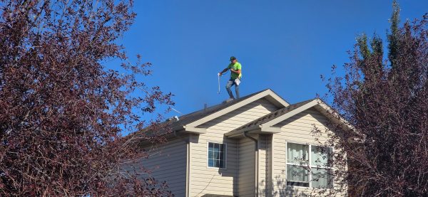Bright Green Roof Shingle Extention