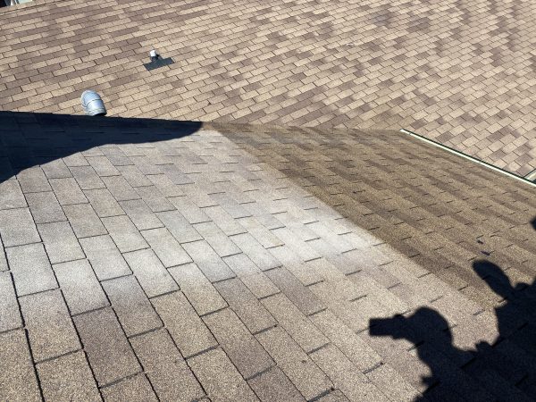 bright green roof restoration