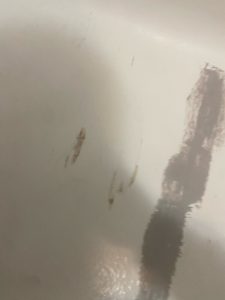 The "Red Seal" Guide to Fixing a Cracked or Gouged Fiberglass Bathtub (Without a $2,000 Replacement) fill cracked tub